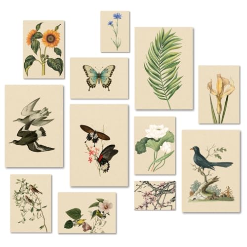 Image of Funk You Store Vintage Botanical Prints Wall Art (Set of 12) - Botanical Plant Poster, Butterfly Pictures Bird Art Sunflower Fern Prints, Flower Painting Home Bedroom Decorations (D 024)
