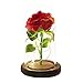 URBANSEASONS Beauty and The Beast Rose, Red Silk Rose That Lasts Forever in a Glass Dome with LED Lights,Gift for Mothers Day Valentine's Day Wedding Anniversary