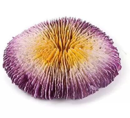Shirlip Decorative Non Toxic Artificial Aquarium Coral Resin Plant Ornaments for Fish Tank, Multicolor