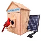 X32D-4G Solar Powered Outdoor Birdhouse with 4G LTE Camera