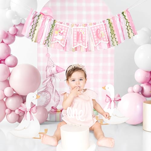 Image of Kriyokiaa One Silly Goose High Chair Banner One High Chair Banner Girl Photo Backdrop First Birthday Decorations for Girl Wall Hanging Decorations for Kids Bedroom