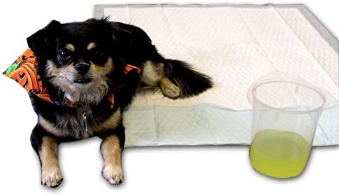 Absorbent Kennel Pads 23" x 36"