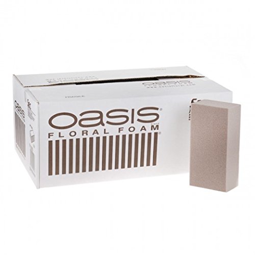 20 Oasis Floral Foam - Quality Smithers SEC Brick or Block