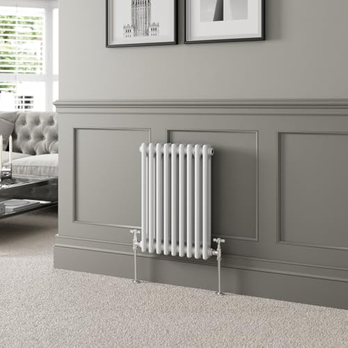 DuraTherm 600 x 425mm White Traditional Horizontal Designer Radiator Double Column Colosseum Cast Iron Style Central Heating Panel Radiators Rad