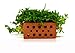 GARNELEN4YOU® Mini Ziegel | Premium Garnelen-Ziegel für Aquarien | Made in Germany | plastikfreie Verpackung | Miniatur Backstein Ziegelstein (10 Mini-Ziegel)