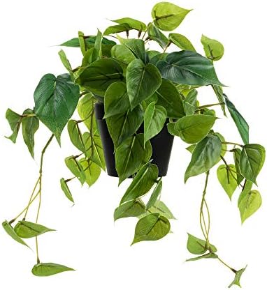 LuckyGreenery Artificial Scindapsus Aureus, Realistic Fake Plant with Plastic Pot for Home Office Garden Decoration(8in H)