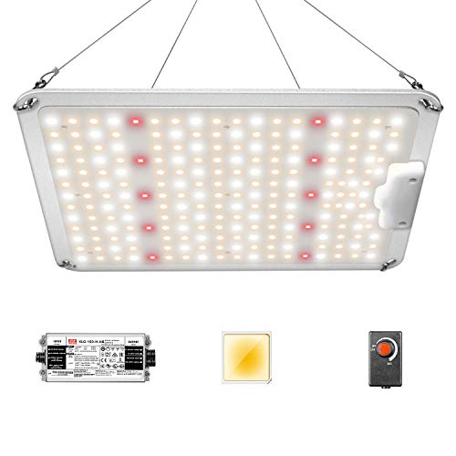 10 Best Grow Lights For Peppers 2022 Reviews