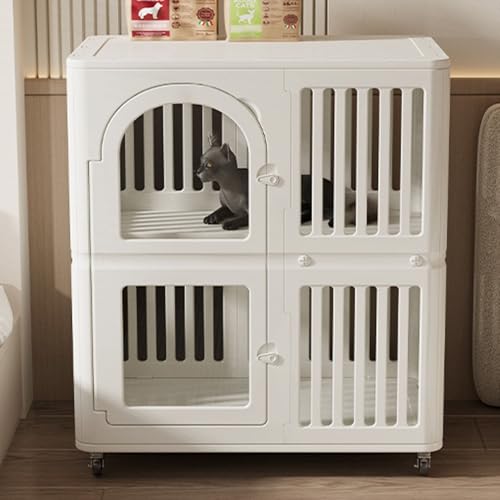 YQMHEZ 2wLP[WALpvCyigCtjAANpN[gvCyiSԗ֕tjArO[pLnEX