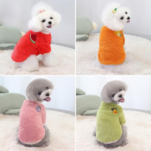 Suéter de pelúcia quente para animais de estimação – roupas de inverno fofas para filhotes, frutas d