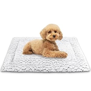 Aspand Colchoneta para Perros-Suave y Cómoda Alfombra de Cama Ortopedica, 63x48cm, Protección para su Mascota, Fácil de Limpiar, Gris Oscuro
