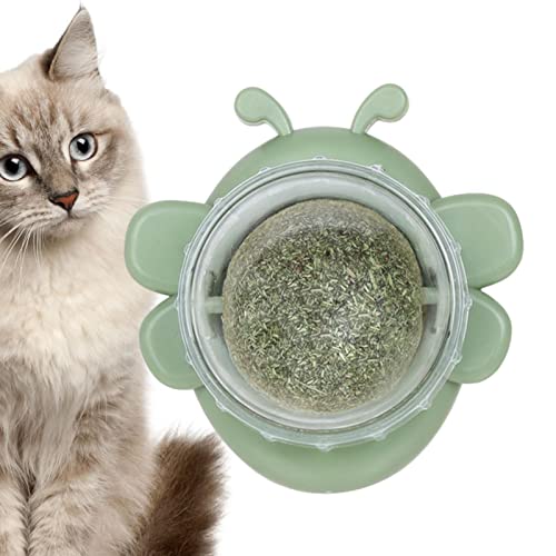 Wandkugel Katzenminze, Spielzeug Wand mit Kugel, Rolle Katzenminze in Bienenform zum Lecken von Katzen, Leckereien Wand für Katzen, Bio-Spielzeug für