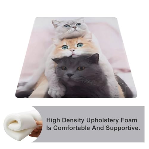 Coussin de chaise carré chat en mousse à mémoire de forme 38 cm