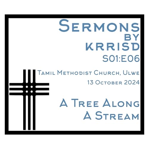 A Tree Along A Stream