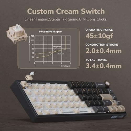 Teclado Gaming RK R65 mecánico con layout US y control giratorio de mando 7