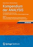 Kompendium der ANALYSIS - Ein kompletter Bachelor-Kurs von Reellen Zahlen zu Partiellen Differentialgleichungen: Band 2: Maß- und Integrationstheorie, ... Partielle Differentialgleichungen
