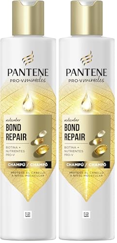 Pantene Molecular Bond Repair Champú con Biotina 250ml Fórmula Pro-V para el Pelo Seco y Dañado. Protege y Deja el Pelo más Sano y Regenerado. Enriquecido con Nutrientes (Paquete de 2)