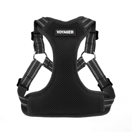 Voyager Pettorina per Cani Regolabile con Strisce Riflettenti by Best Pet Supplies - Resistente e Traspirante, con Anello a D per Guinzaglio, Nero, M