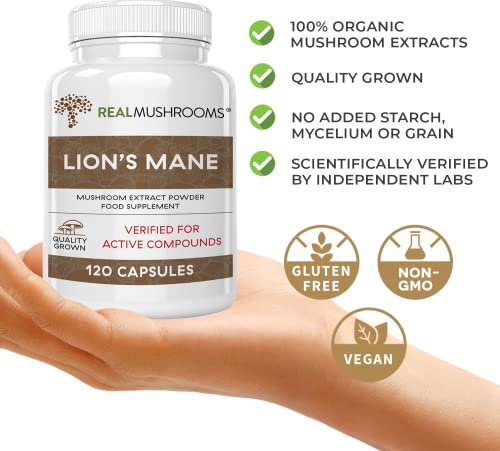 Lions Mane Brain And Focus Supplements - Mushroom Powder Extract Capsules - Non Gmo And Gluten Free Supplement For Better Cognitive Health #TOP2