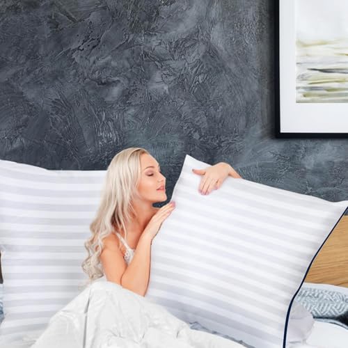 Pillows Insert 28'' x 28'' Set of 2, Decorative Euro Throw Pillows with Luxury Silky Covers for Indoor Couch, Sofa or Bed Decors, White Striped Cushion Sham Stuffer