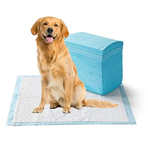 Petsvilla Pet Training and Puppy Pads with Leak-Proof Quick Dry, 10 Pcs (X-Large) 60x90cm