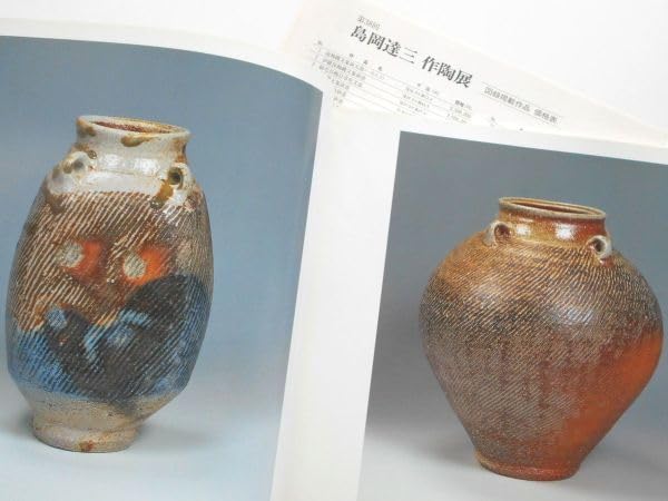 人間国宝　島岡達三さんの「地釉象嵌縄文盌」 Amazon.co.jp: 価格表付図録本人間国宝島岡達三作品集写真集地釉縄文