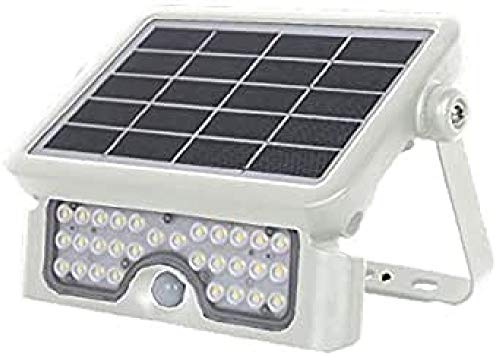 Proiettore LED 5 W Bianco