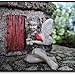 Gardens April Fairy With Cardinal Miniature Fairy Gardening