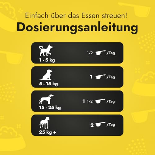 Petstile Canine Booster mit Grünlippmuschel-Extrakt für Hunde - Expertenformulierte Superfood-Mischung mit 26 Wirkstoffen - 150g Pulver