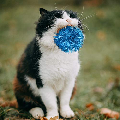 ULTECHNOVO Glitter Bolas de Brinquedo-Brinquedo de Estimação Bolas Bolas de Glitter Colorido Engraça