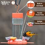 Nature's Way Suspension de verre Oriole Feeder pour Décor extérieur, 30 Capacité d'once Nourrisseur de nectar, Plats de gelée, Porte-fruits oranges, 4 Eash to Clean Ports Flexibles, Mouettes de Fourmis, Gardes d'abeilles, Orange