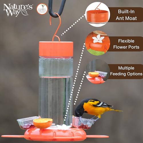 Nature'S Way OFG2 Hanging Glass Oriole Feeder thumb #3