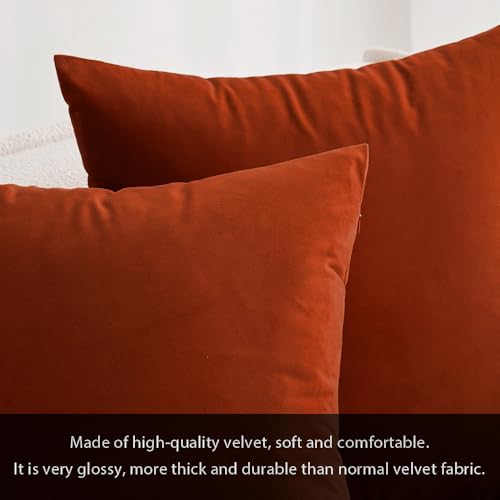 Image of MIULEE Burnt Orange Velvet Throw Pillow Cover 12 x 20 Inch Soft Decorative Pillow Cover Lumbar Cushion Case Home Decor for Couch Sofa Bedroom