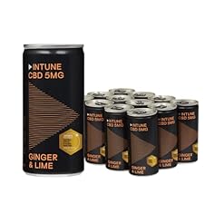 INTUNE Ginger & Lime Sparkling CBD Drink and Mixer, 100% Natural, Vegan, Multipack of 12 x 200ml Cans – INTUNE