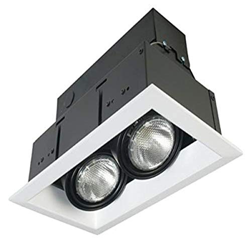 Eurofase Te132-0N 2-Light Par30 Recessed Mutiple Strip Trim, Platinum #TOP4