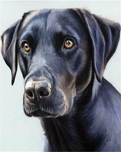 Peinture diamant adulte 5D kit complet avec motif de chien animal 90x120cm