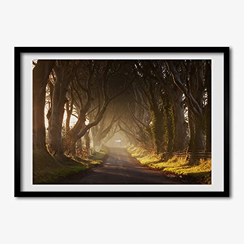 Tableau de foret dans la brume avec cadre 70x50 cm pour salon zen
