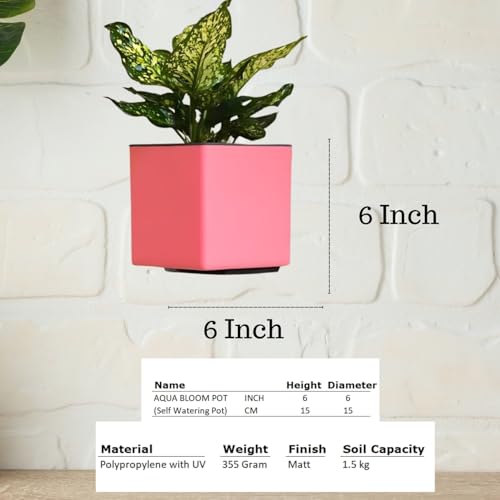 Image of Indian Discovery Self Watering Wall Hanging Planter|Hanging /Hooked Flower Pots for Home, Balcony, Vertical Garden Decor Flower Pots(2 PC, Baby Pink, Square) |6 Inch UV-Resistant Plastic Plant Pots
