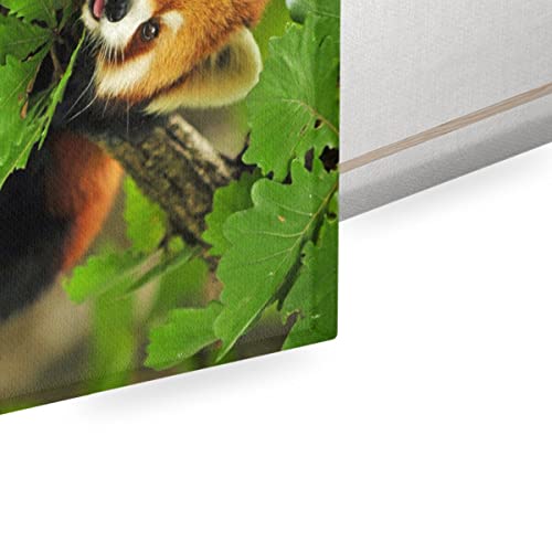 Tableau panda roux décoration murale pour réveiller un mur vide - 2