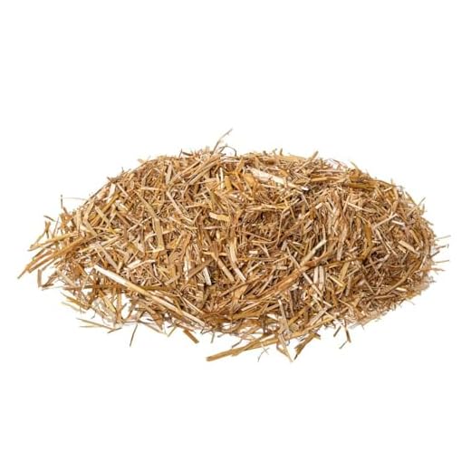 FEERIC LIGHTS & CHRISTMAS - Deko-Stroh für krippe 50 gr