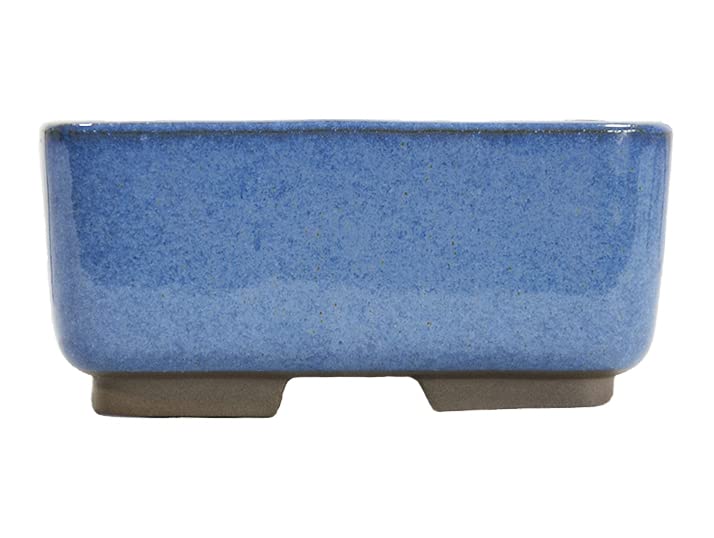 Vaso per bonsai Giapponese Morrisan rettangolare in gres smaltato blu 11x8, 5x4,5 cm - B03-3-3B