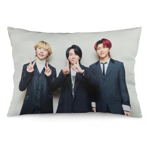 �������J�o�[ �~�Z�X �O���[�� ��X���M49 �����܂��� �N�b�V�����J�o�[ �C���e���A ���z�c �O�Y ���w���ď��� ���J�o�[ 20"x30"