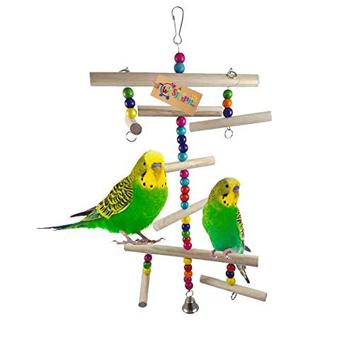 Western Era Playful Gym Natural Wooden Bead Hanging Swing Toy for Birds (B089R9KP92) Amazon Price History, Amazon Price Tracker