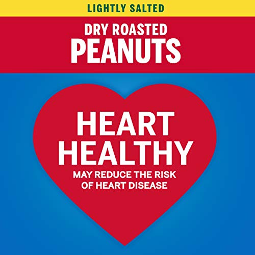 Planters Lightly Salted Dry Roasted Peanuts, 16 Oz. Resealable Jar | Peanut Snack | Great Movie Snack, Active Lifestyle Snack And Party Size Snack | Protein Snack | Kosher Peanuts #TOP4