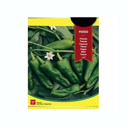 Semillas Pimiento de Padrón Fáciles de Cultivar en el Huerto