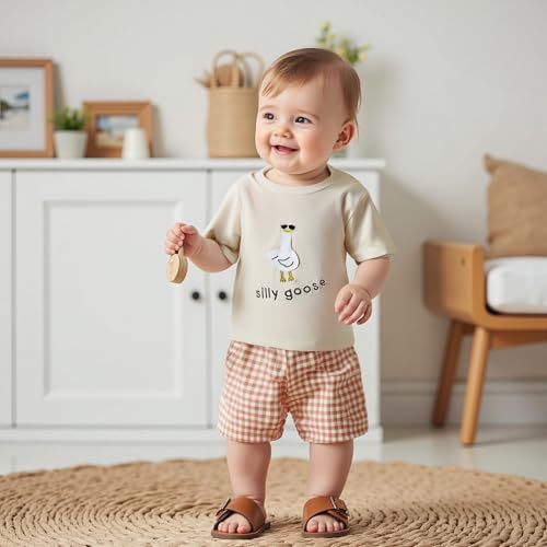 Toddler Baby Boy Girl Goose Clothes Silly Goose Short Sleeve T-Shirt and Plaid Shorts Set 2Pcs Summer Outfits2