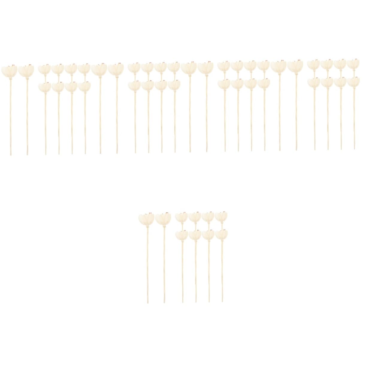 Cabilock 5 Series Rota De Aromaterapia Oleos Essenciais Essential Oils Essential Oil Diffuser Baño para Botella De Aroma Inserta Palos Difusores De Aroma Decorativos Papiro 10 Piezas X 5