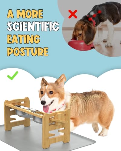 Elevated Dog Bowls Adjustable Raised Dog Bowls Stand for Small Size Dogs and Cats Durable Bamboo Dog Feeder with 2 Stainless Steel Bowls and Nonslip Feet Dog Food Bowls with Silicone Mat  Cucciolini Doodles Elevated dog bowls adjustable raised dog bowls stand for small size dogs and cats durable bamboo dog feeder with 2 stainless steel bowls and non slip feet dog food bowls with silicone mat   cucciolini doodles