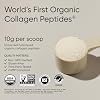 Polvo de Péptidos de Colágeno Orgánico Sports Research®, 10.58 oz (Sin Sabor) | Tipo I y III Hidrolizado, Elaborado de Manera Sostenible a partir de Vacas Alimentadas con Pasto - USDA Orgánico, No GMO, Sin Gluten - 30 Porciones 3