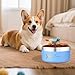 EinzigGeschenk Hundenapf Personalisiert, Personalisierte Metall Katzen- und Futternapf Hund & Wassernäpfe Mit Gravur Namen für Haustiere Geschenke, 10 Farben, 5 Größen (740 ML)