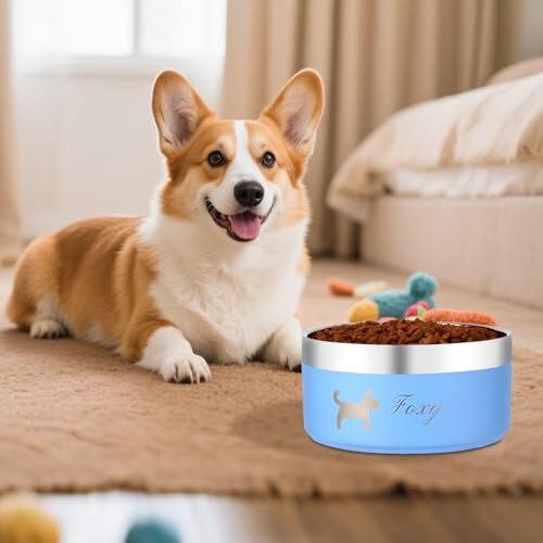 EinzigGeschenk Hundenapf Personalisiert, Personalisierte Metall Katzen- und Futternapf Hund & Wassernäpfe Mit Gravur Namen für Haustiere Geschenke, 10 Farben, 5 Größen (740 ML)